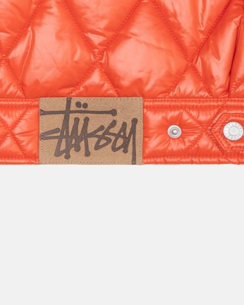 stussy 23fw RANCH JACKET QUILTED NYLON柄デザインプリント